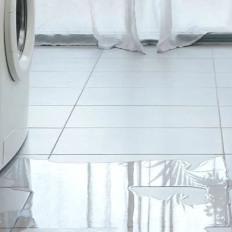 Appliance Leak Cleanup in Charles City County, VA