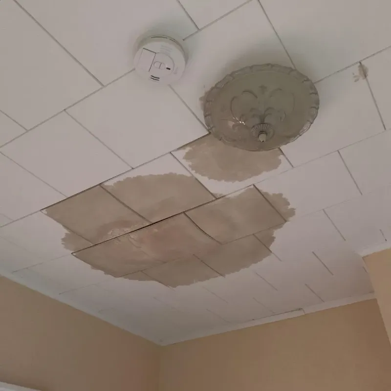 Ceiling Water Damage Repair in Charles City County, VA