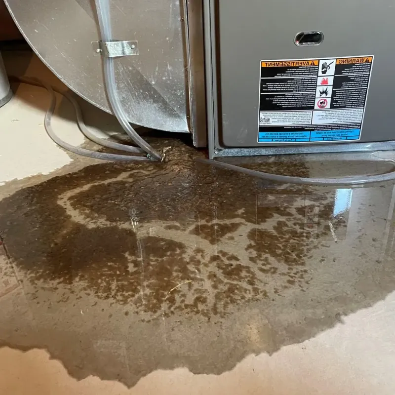 Pipe Burst and Leak Restoration in Charles City County, VA
