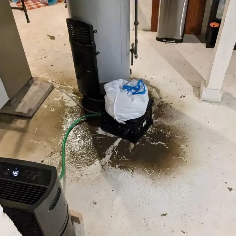 Sewage Backup Cleanup Service in Charles City County, VA